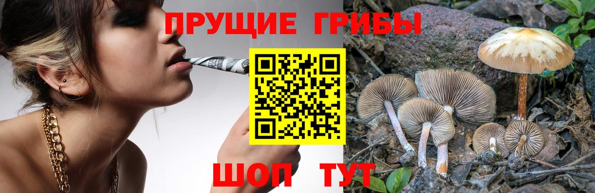 Апатиты  Галлюциногенные грибы ЛСД  Галлюциногенные грибы Magic Shrooms  где найти наркотики  Вход с VPN 